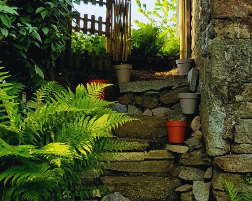 Maison En Pierre Au Milieu Du Bocage Hébergement de vacances